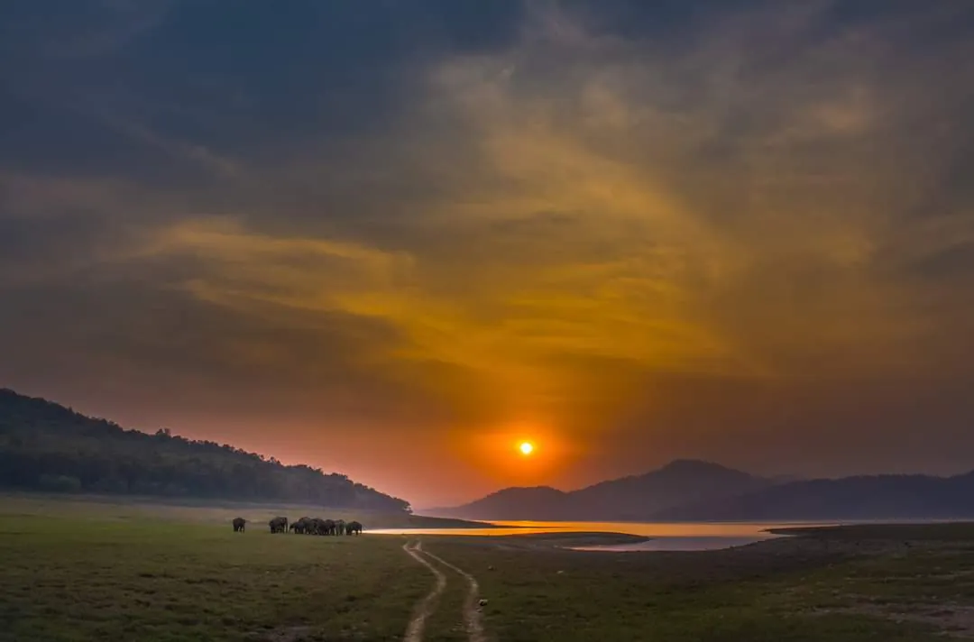 Jim Corbett National Park