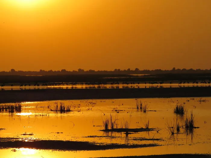 Little Rann of Kutch