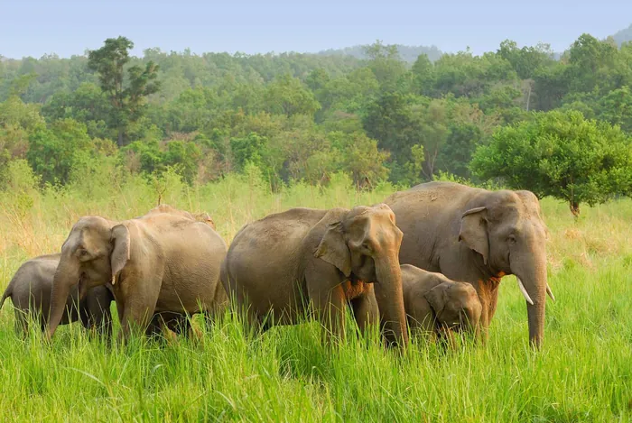 Periyar