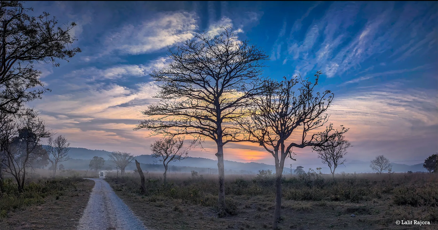 Dusk in the jungle – Golden hours in ancient forests
