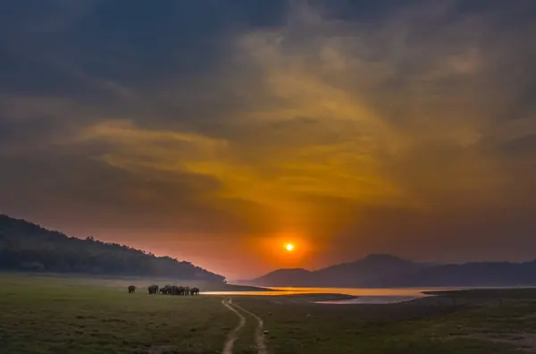 Jim Corbett National Park